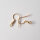 Ear Hook