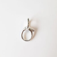 Karabiner