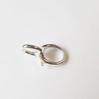 Karabiner