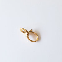 Karabiner