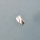 Bar Cut Roundel 3mm / 10g / approx. 220 pieces / silver