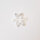 Blume