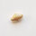 Shell Bead