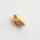 Shell Bead