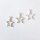 Star Charm