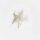 Star Bead