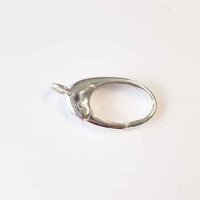 Karabiner