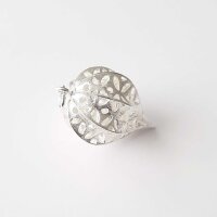 Physalis