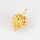 Physalis