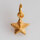 Star Charm