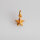 Star Charm