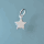 Star Charm