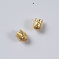 Tulpe