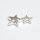 Star Bead