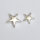 Star Bead