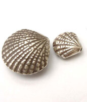 Seashell Bead