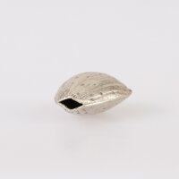 Seashell Bead