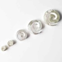 Schnecke 10mm / 1 Stück / silber
