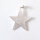 Star Pendant