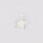 Star Pendant