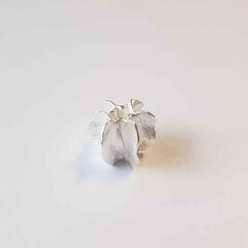 Bead