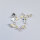 Star Charm