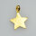 Star Pendant 25mm / 1 piece / gold