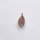 Cowrie Shell Charm